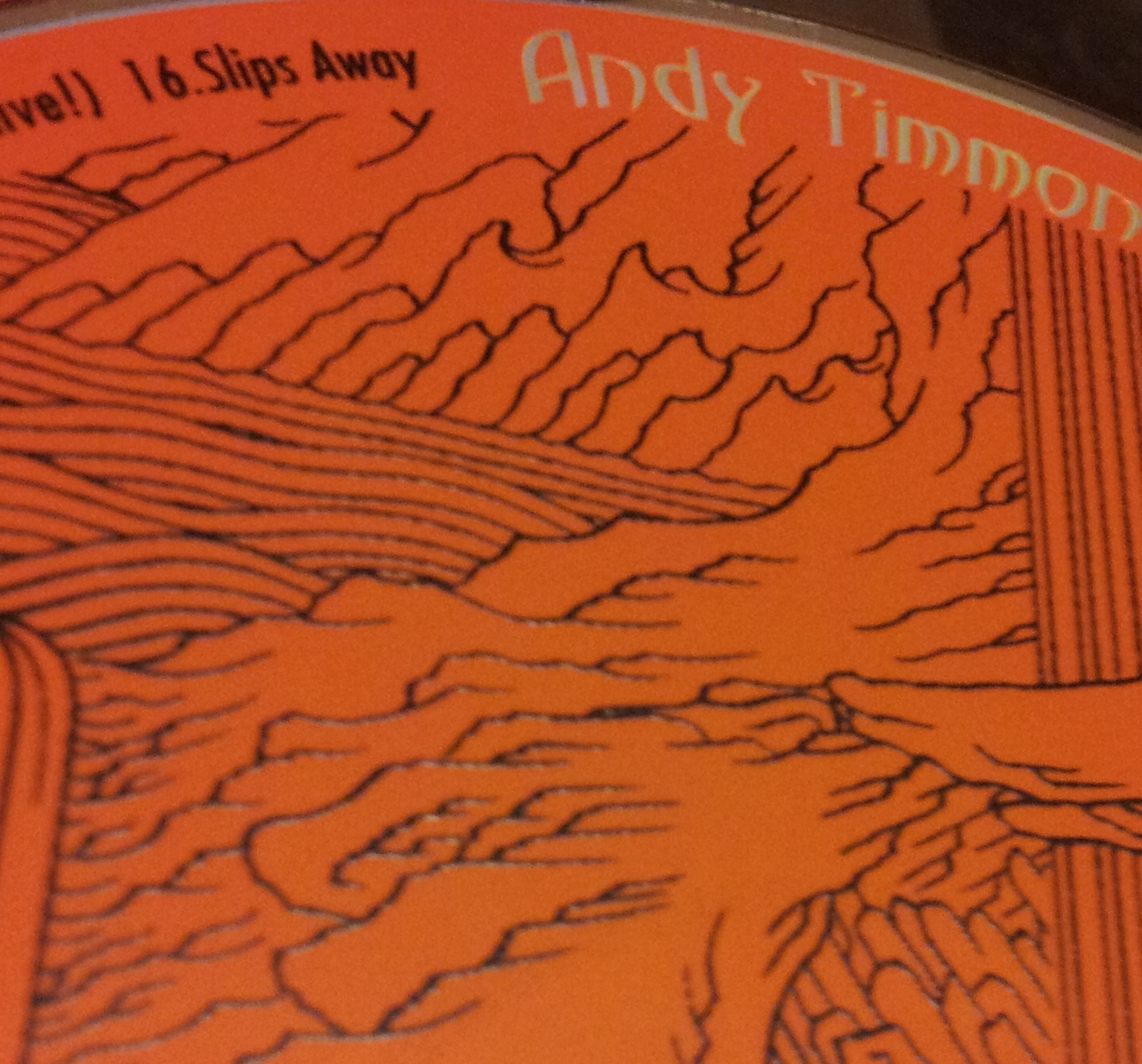 Andy Timmons（アンディ・ティモンズ）「Electric Gypsy」の弾き方を解析する
